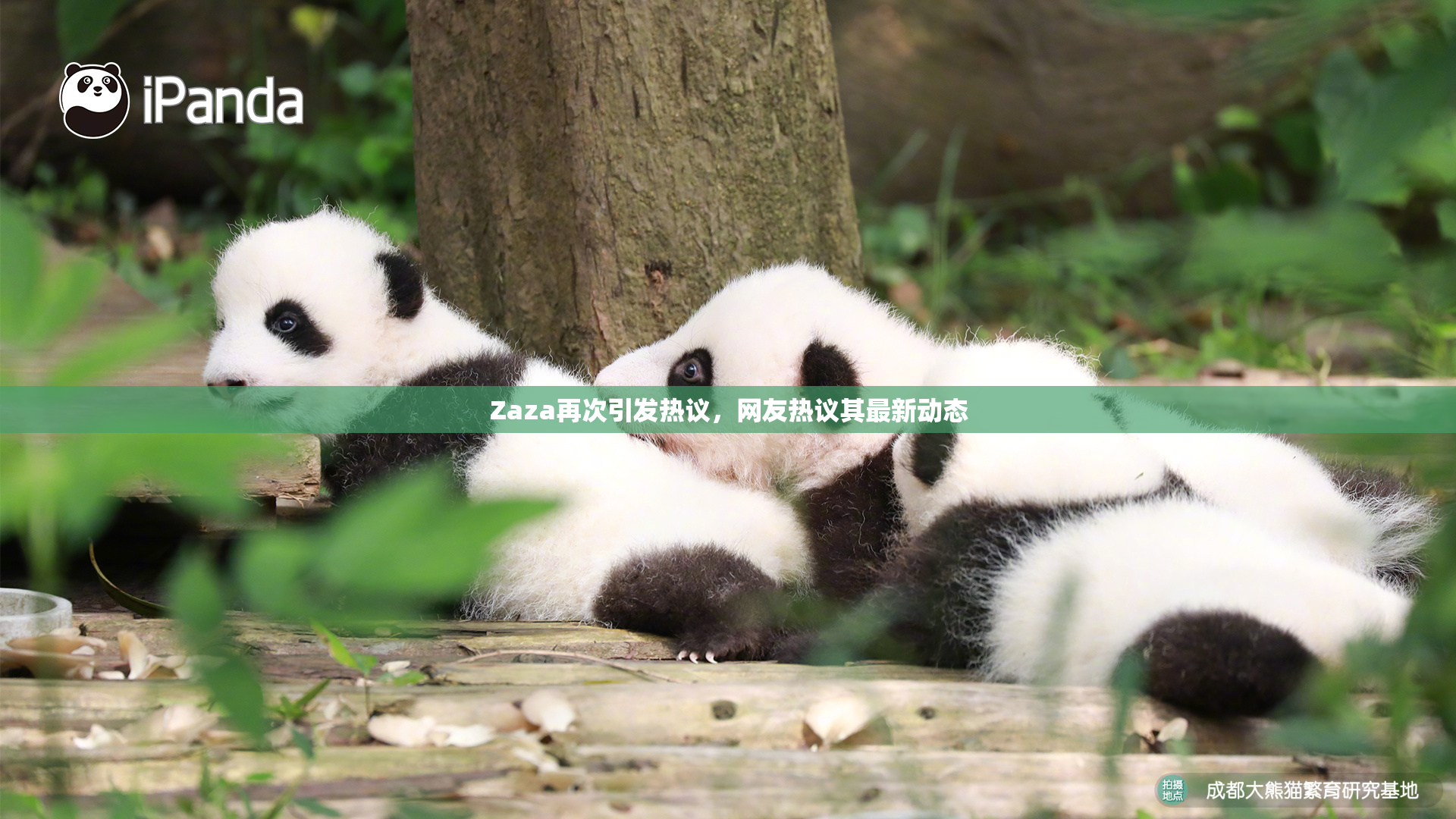 Zaza再次引发热议，网友热议其最新动态