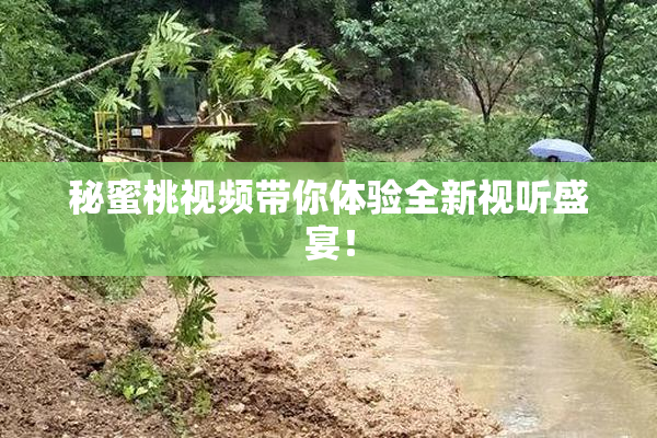 秘蜜桃视频带你体验全新视听盛宴！