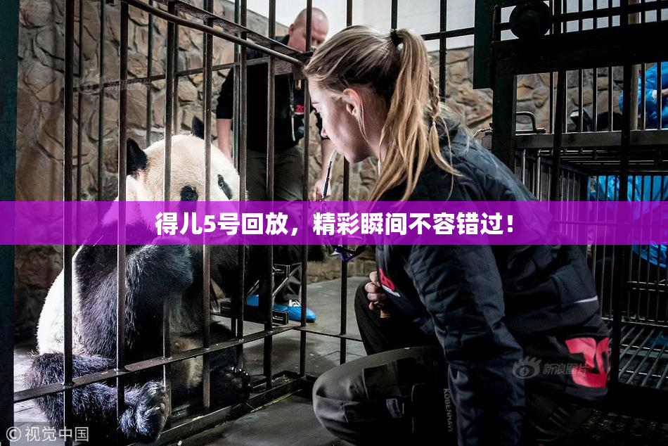 得儿5号回放，精彩瞬间不容错过！