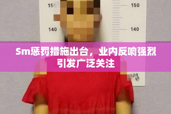 Sm惩罚措施出台，业内反响强烈引发广泛关注