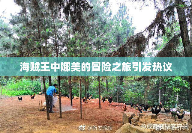 海贼王中娜美的冒险之旅引发热议