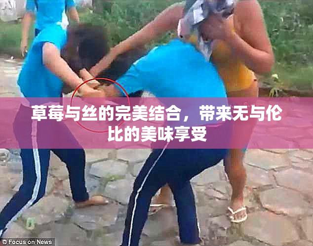 草莓与丝的完美结合，带来无与伦比的美味享受