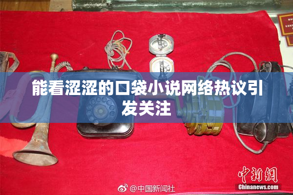 能看涩涩的口袋小说网络热议引发关注