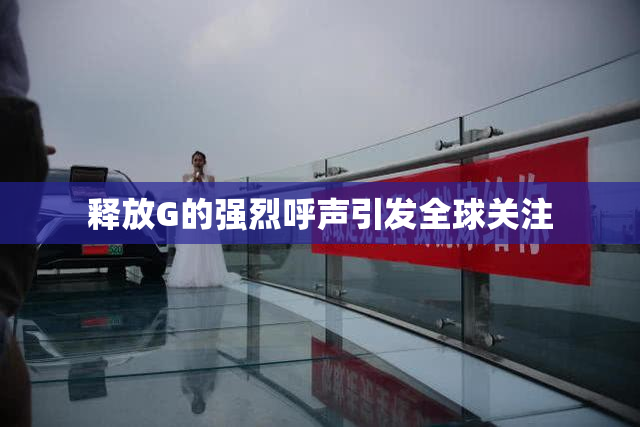 释放G的强烈呼声引发全球关注