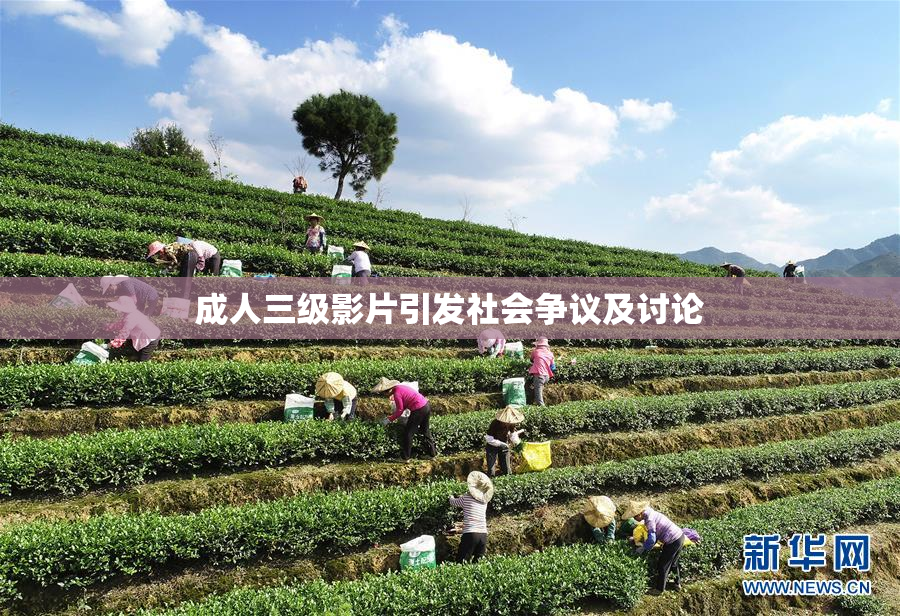 成人三级影片引发社会争议及讨论