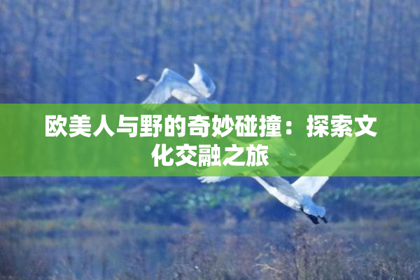 欧美人与野的奇妙碰撞：探索文化交融之旅
