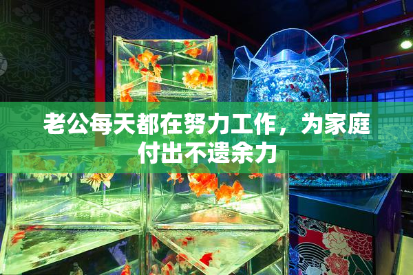 老公每天都在努力工作，为家庭付出不遗余力
