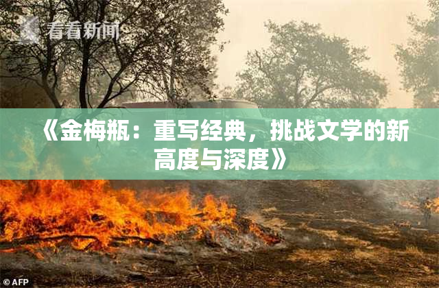 《金梅瓶：重写经典，挑战文学的新高度与深度》