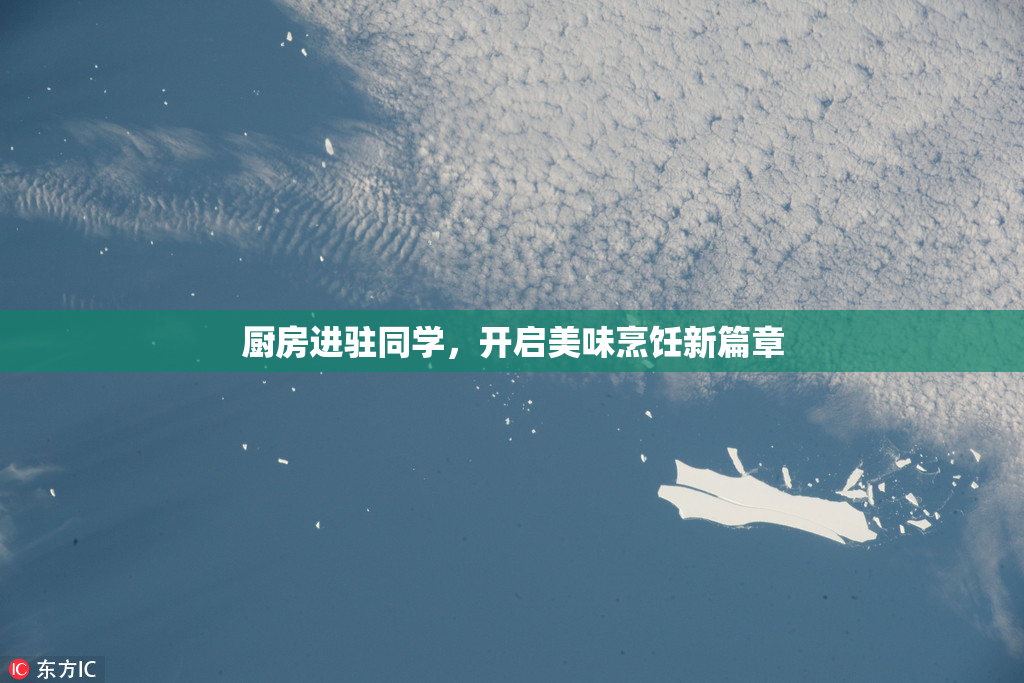 厨房进驻同学，开启美味烹饪新篇章