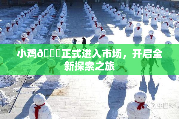 小鸡🐔正式进入市场，开启全新探索之旅