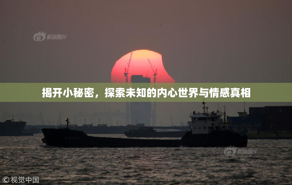 揭开小秘密，探索未知的内心世界与情感真相
