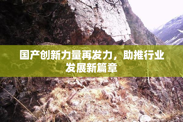 国产创新力量再发力，助推行业发展新篇章