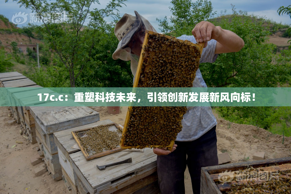 17c.c：重塑科技未来，引领创新发展新风向标！