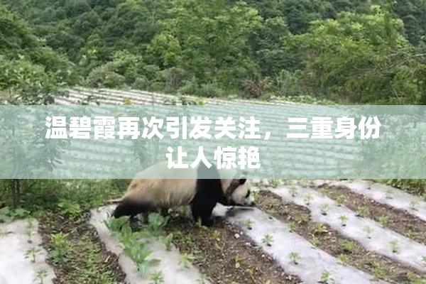 温碧霞再次引发关注，三重身份让人惊艳