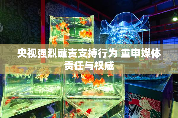 央视强烈谴责支持行为 重申媒体责任与权威