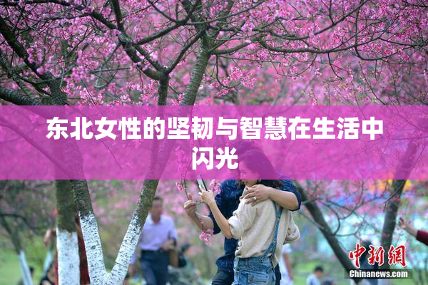 东北女性的坚韧与智慧在生活中闪光