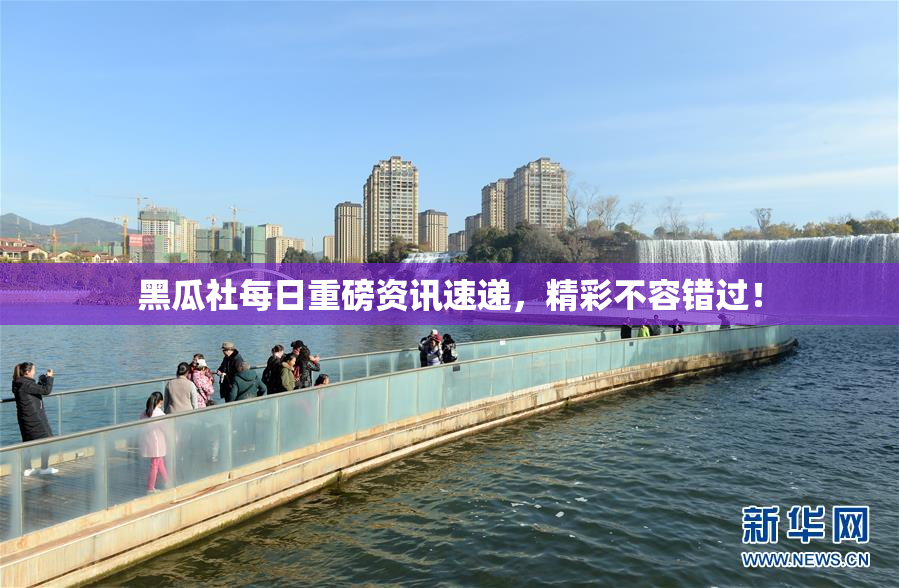 黑瓜社每日重磅资讯速递，精彩不容错过！