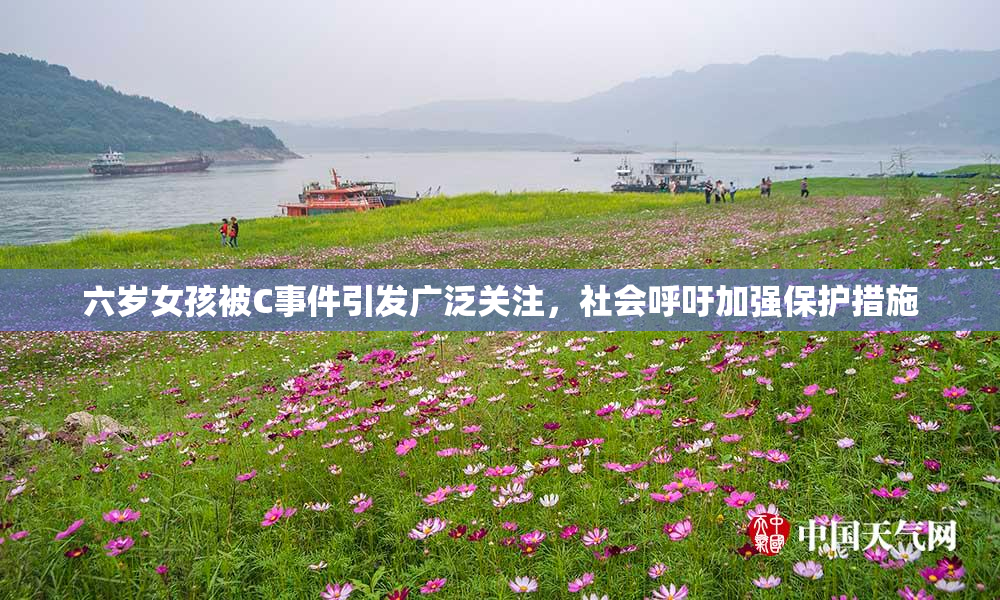 六岁女孩被C事件引发广泛关注，社会呼吁加强保护措施