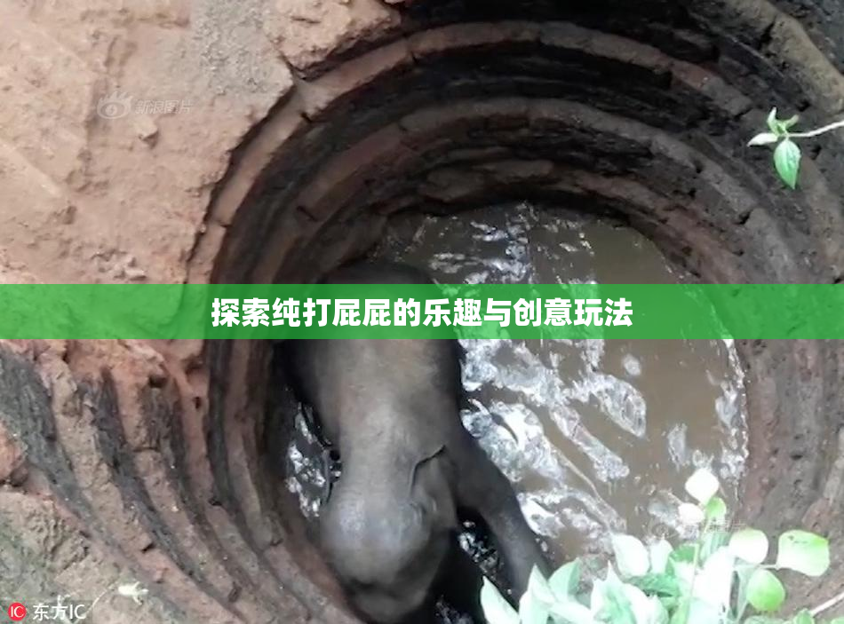 探索纯打屁屁的乐趣与创意玩法