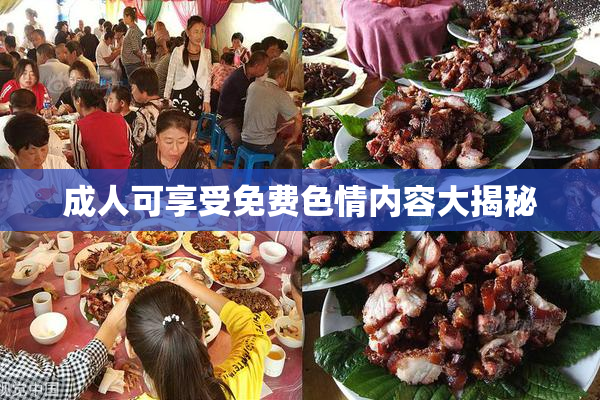 成人可享受免费色情内容大揭秘