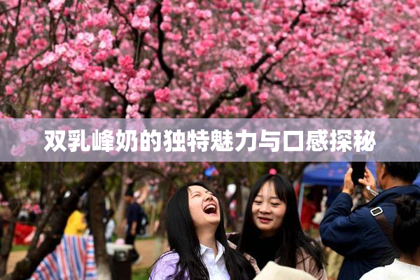 双乳峰奶的独特魅力与口感探秘