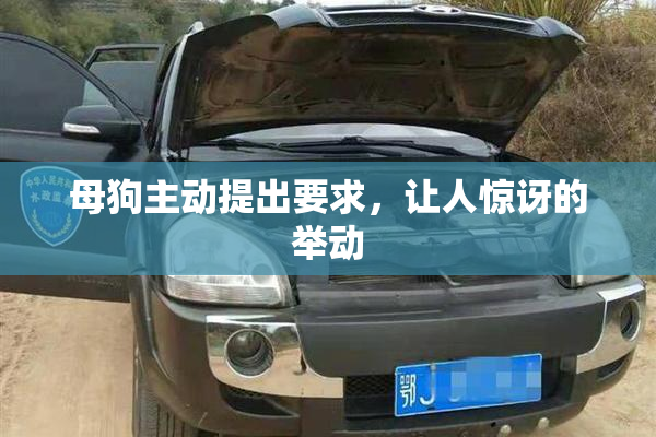 母狗主动提出要求，让人惊讶的举动
