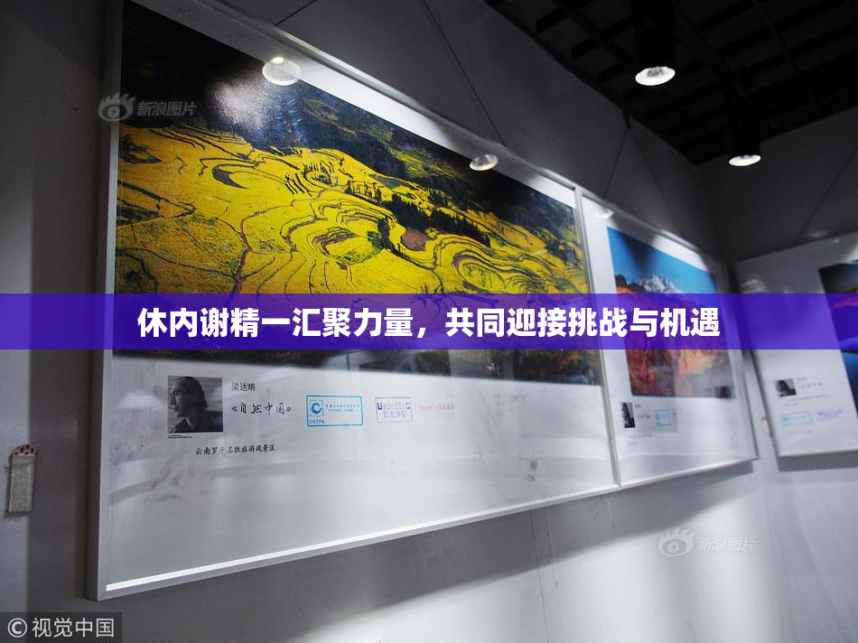 休内谢精一汇聚力量，共同迎接挑战与机遇
