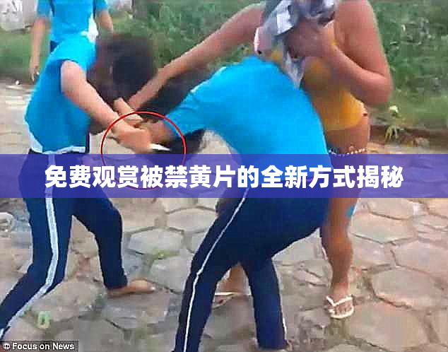 免费观赏被禁黄片的全新方式揭秘