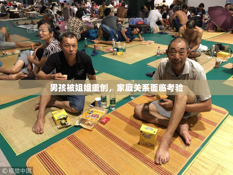 男孩被姐姐重创，家庭关系面临考验