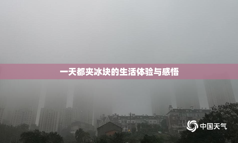 一天都夹冰块的生活体验与感悟