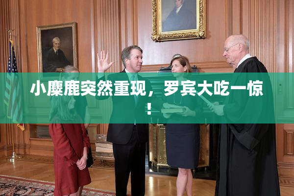 小麋鹿突然重现，罗宾大吃一惊！