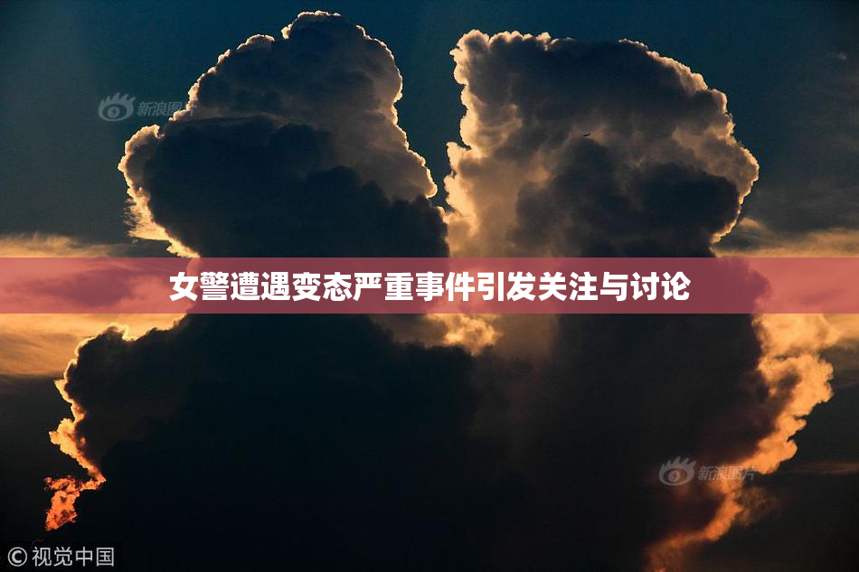 女警遭遇变态严重事件引发关注与讨论