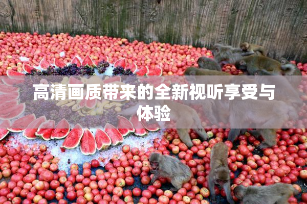 高清画质带来的全新视听享受与体验
