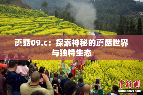 蘑菇09.c：探索神秘的蘑菇世界与独特生态