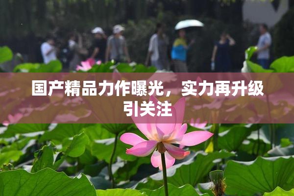 国产精品力作曝光，实力再升级引关注