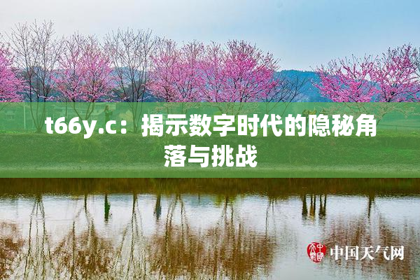 t66y.c：揭示数字时代的隐秘角落与挑战