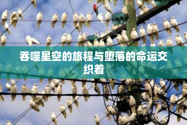 吞噬星空的旅程与堕落的命运交织着