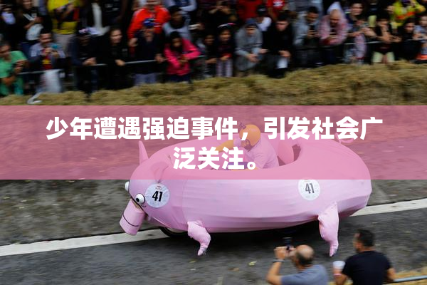 少年遭遇强迫事件，引发社会广泛关注。