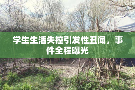 学生生活失控引发性丑闻，事件全程曝光