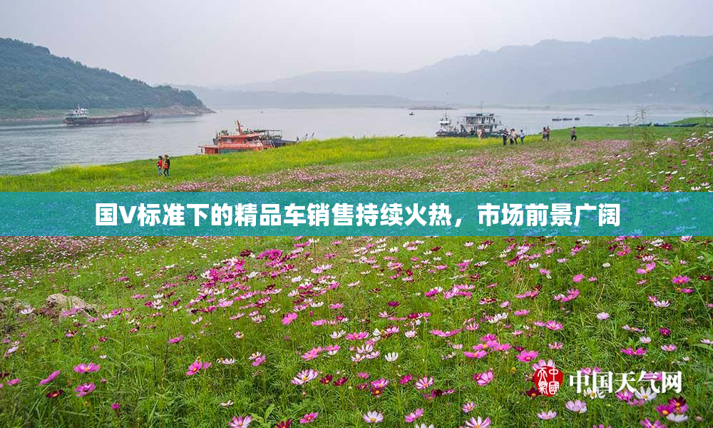 国V标准下的精品车销售持续火热，市场前景广阔