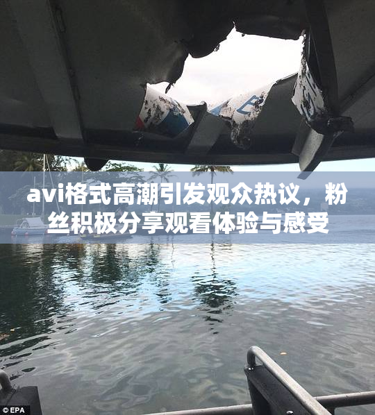 avi格式高潮引发观众热议，粉丝积极分享观看体验与感受