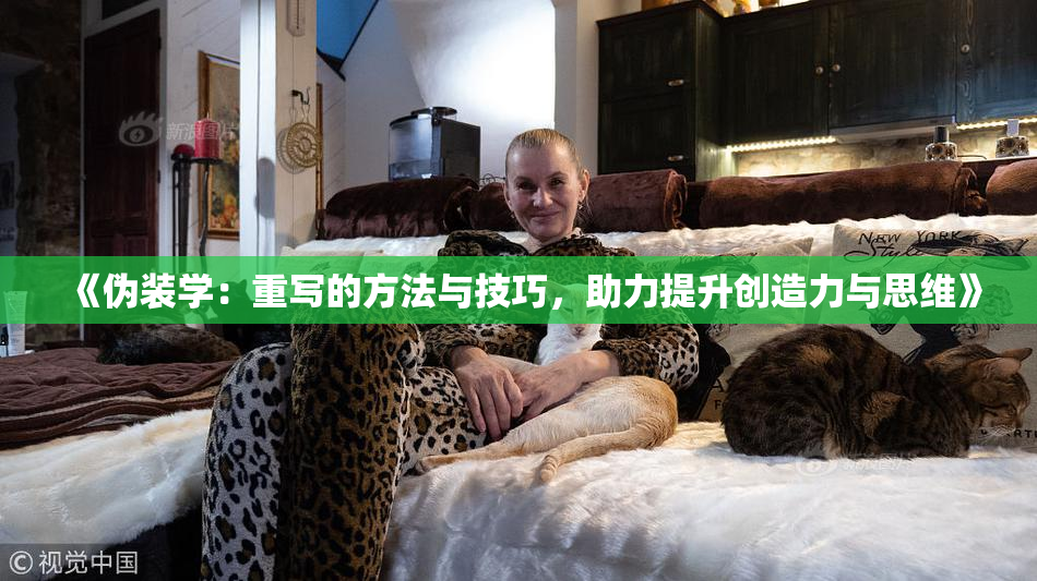 《伪装学：重写的方法与技巧，助力提升创造力与思维》