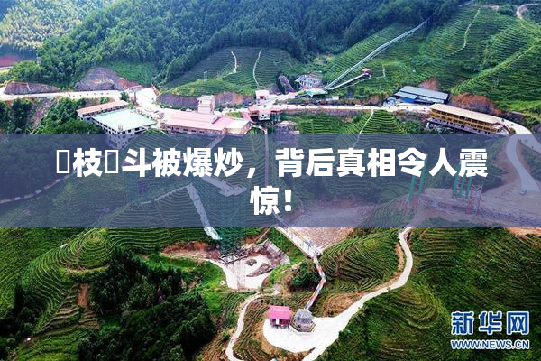 狛枝凪斗被爆炒，背后真相令人震惊！