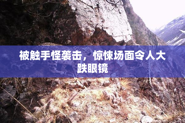 被触手怪袭击，惊悚场面令人大跌眼镜