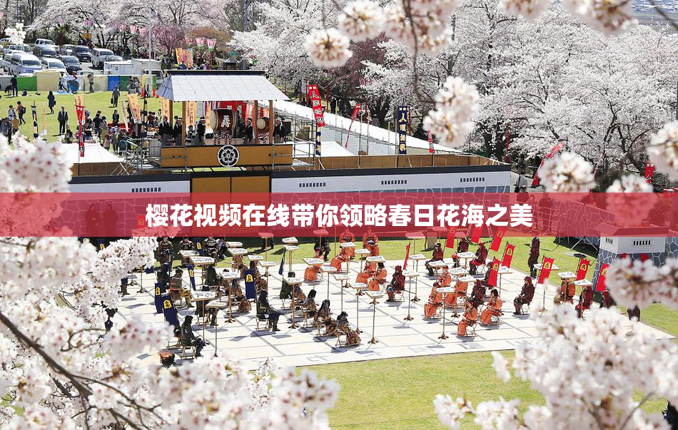 樱花视频在线带你领略春日花海之美