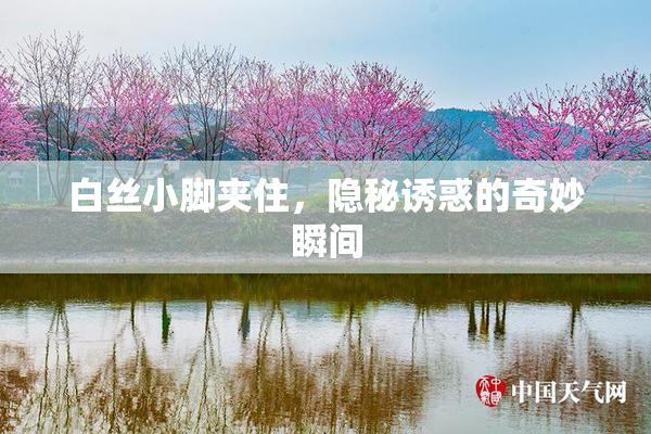 白丝小脚夹住，隐秘诱惑的奇妙瞬间