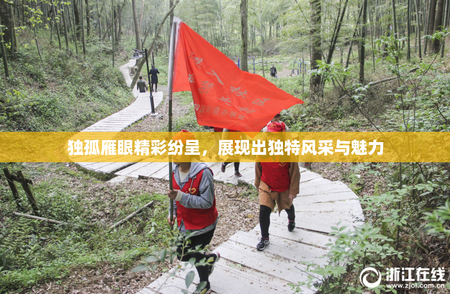独孤雁眼精彩纷呈，展现出独特风采与魅力