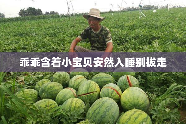 乖乖含着小宝贝安然入睡别拔走