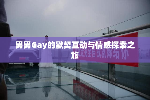 男男Gay的默契互动与情感探索之旅