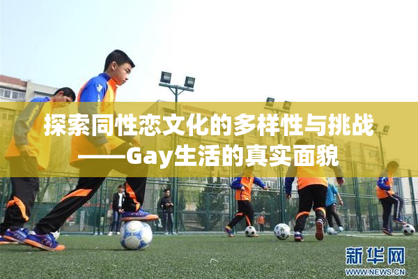 探索同性恋文化的多样性与挑战——Gay生活的真实面貌